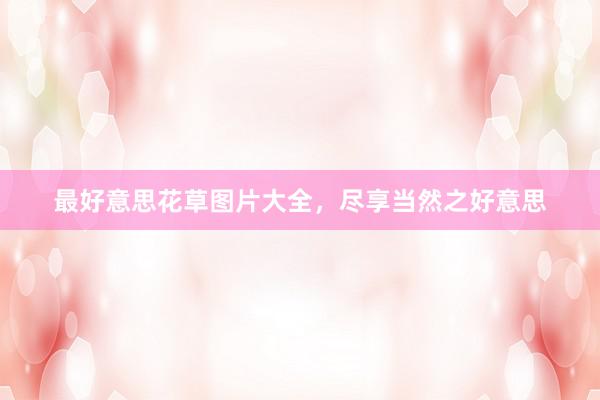 最好意思花草图片大全，尽享当然之好意思