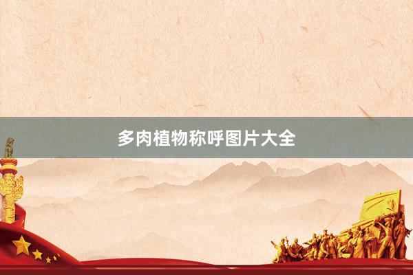 多肉植物称呼图片大全