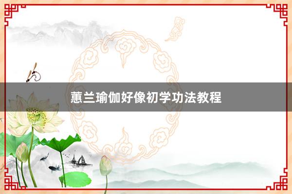 蕙兰瑜伽好像初学功法教程