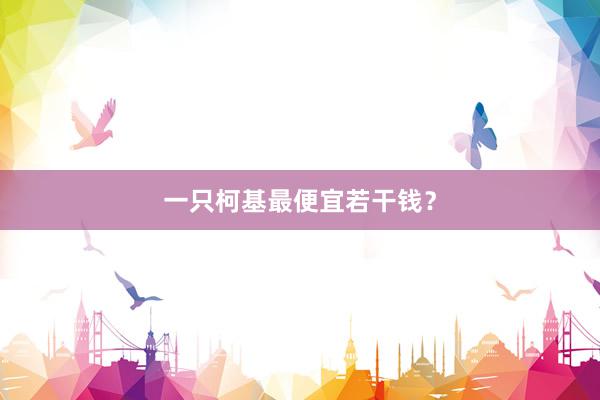 一只柯基最便宜若干钱？