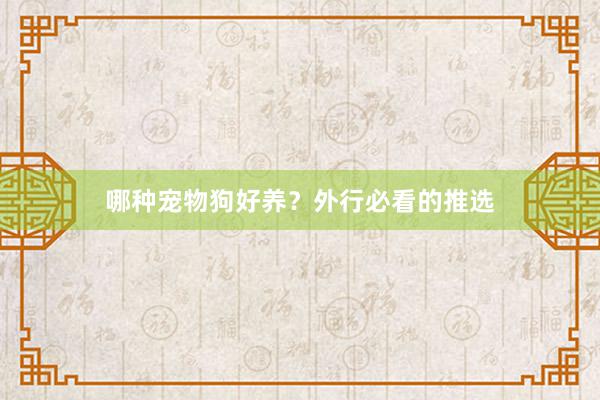 哪种宠物狗好养？外行必看的推选